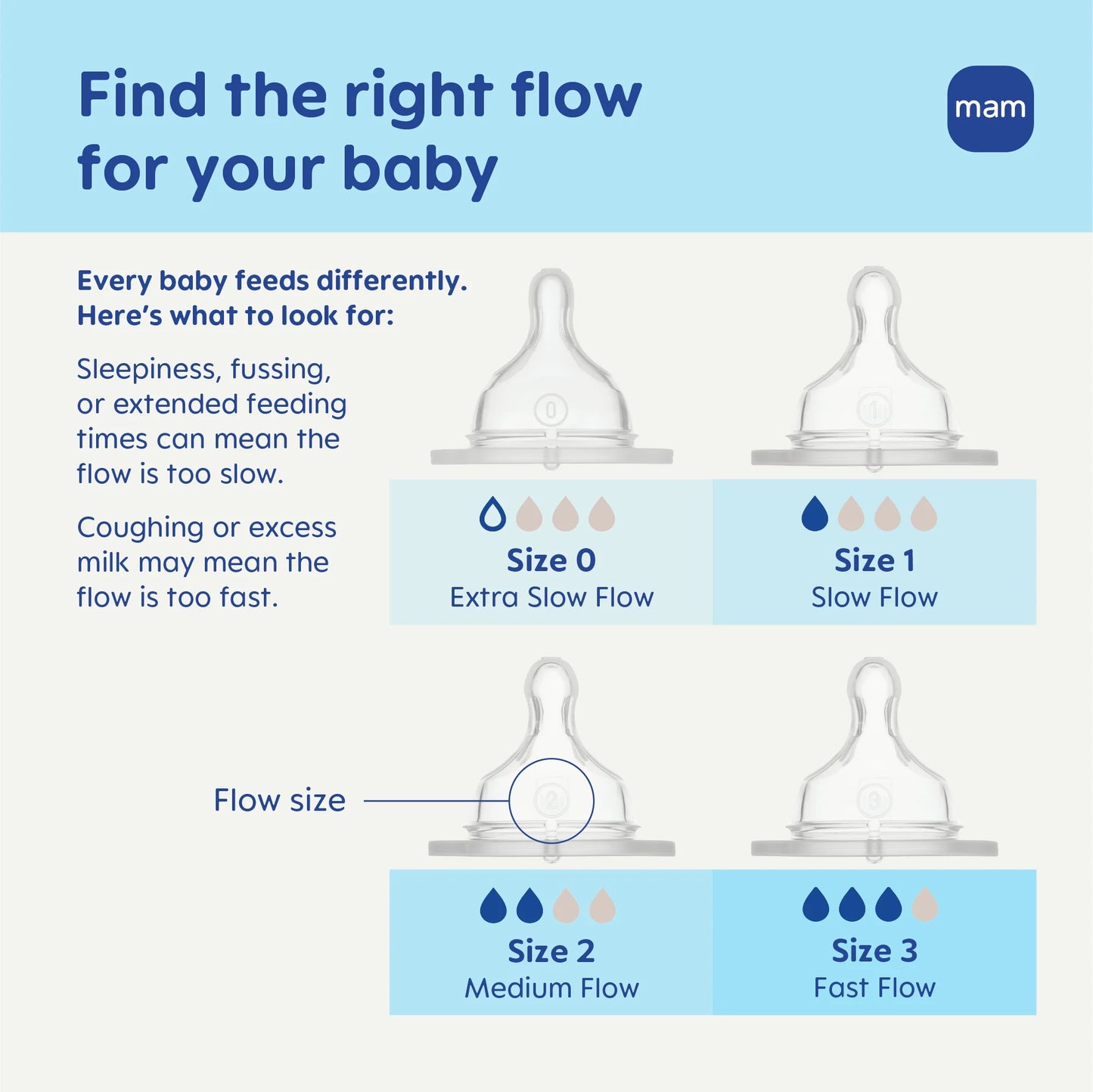 (2 Pack)  Easy Start Anti-Colic Bottle, 5 Oz, Girl, 2 Pack